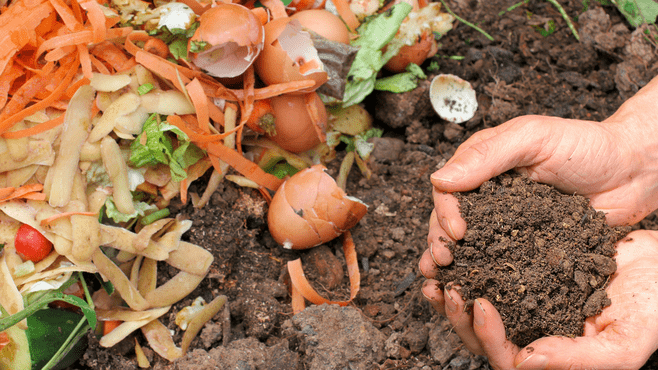 food waste