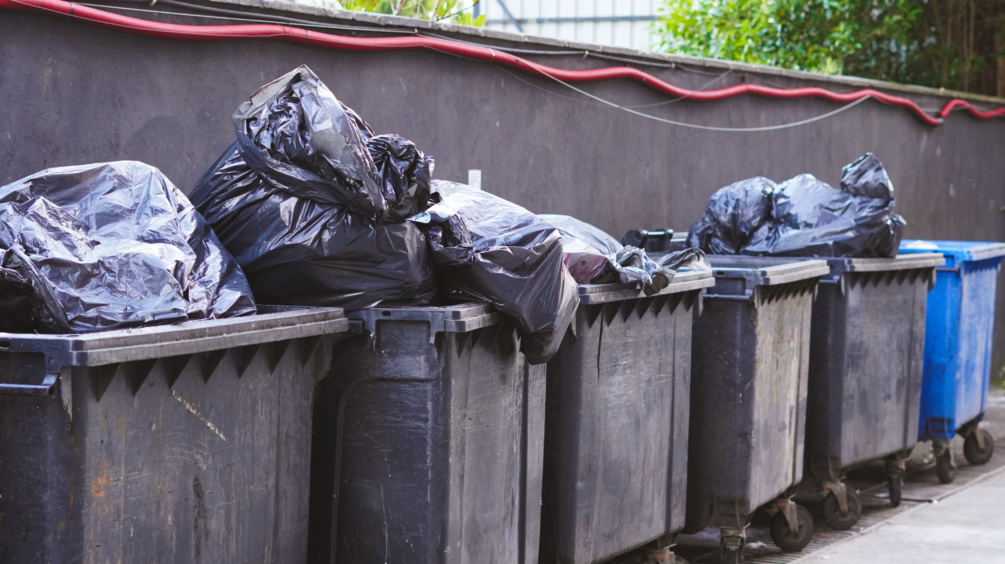 bins