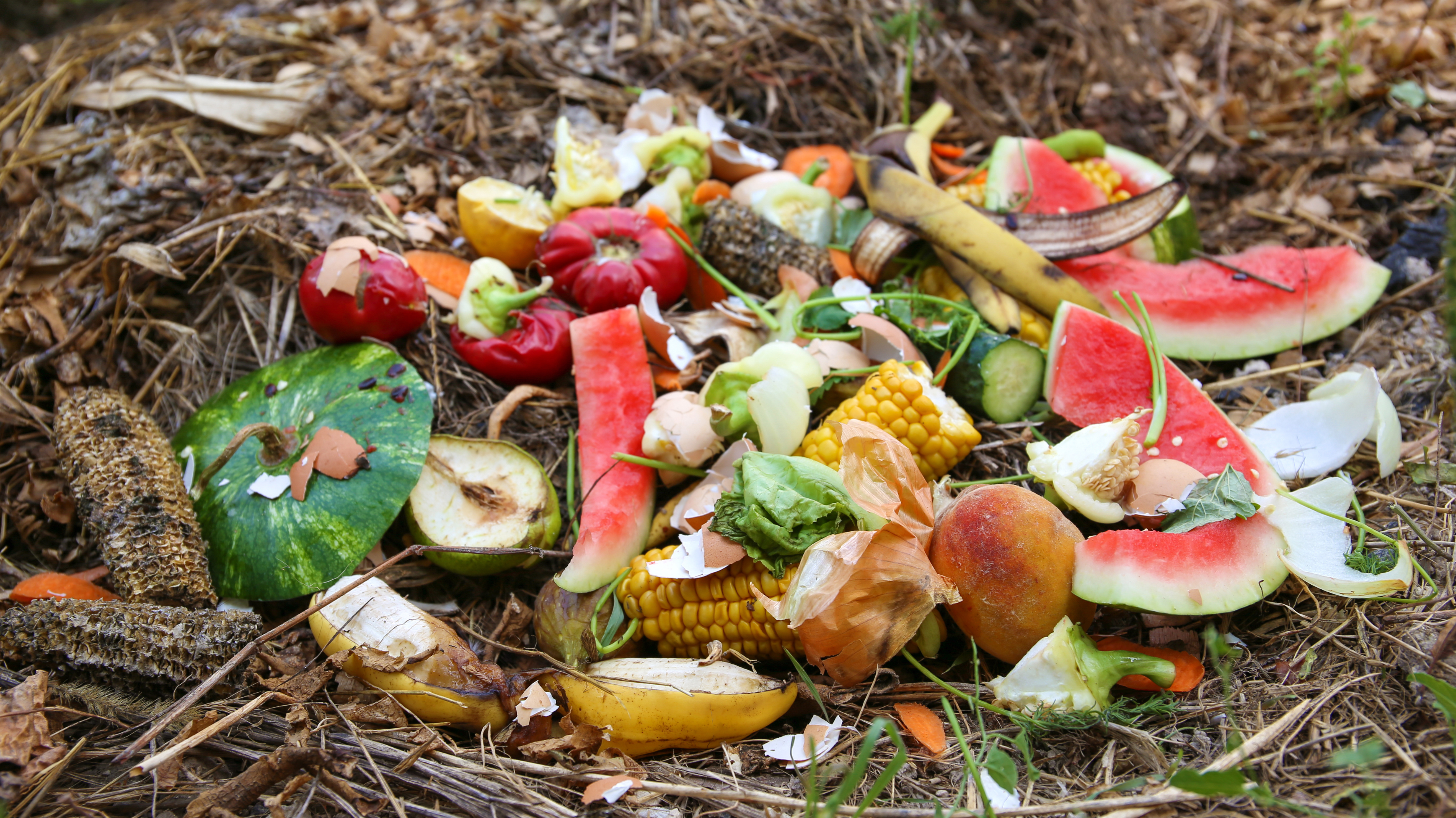 Food Waste