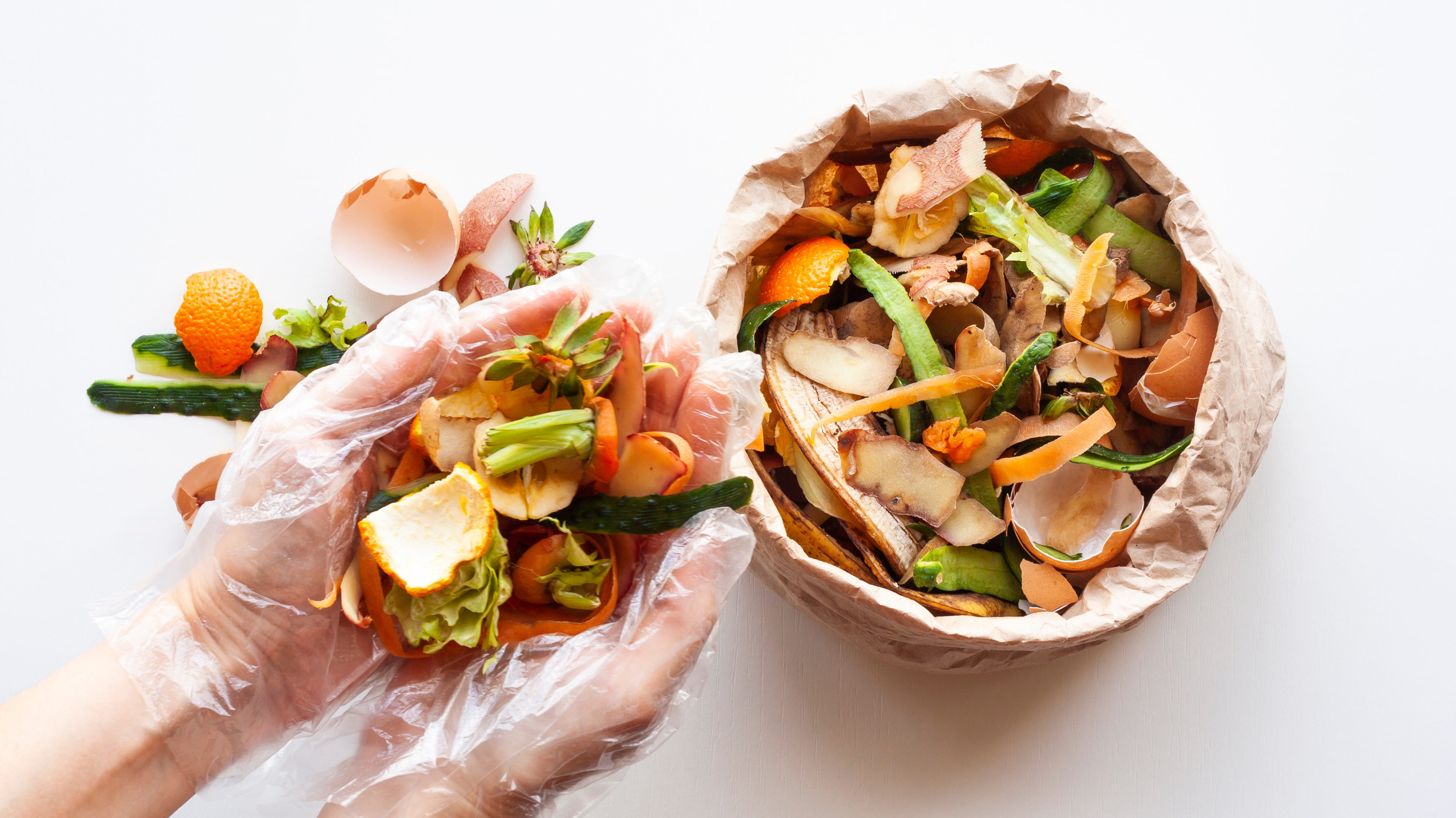 organic waste