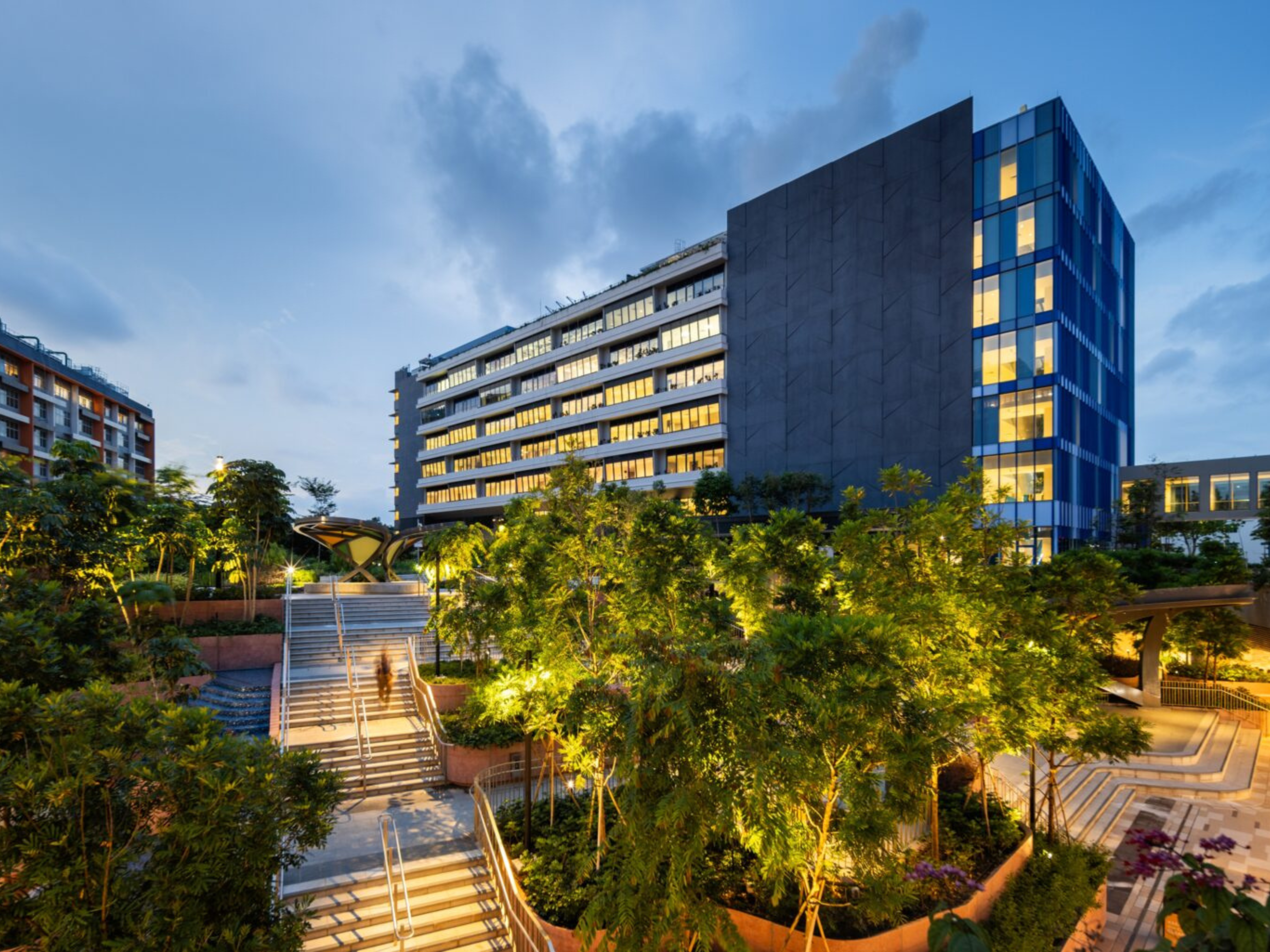 woodlands