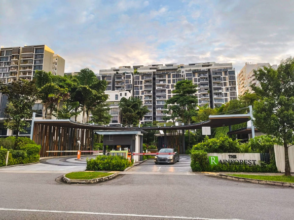 The Rainforest Condominium